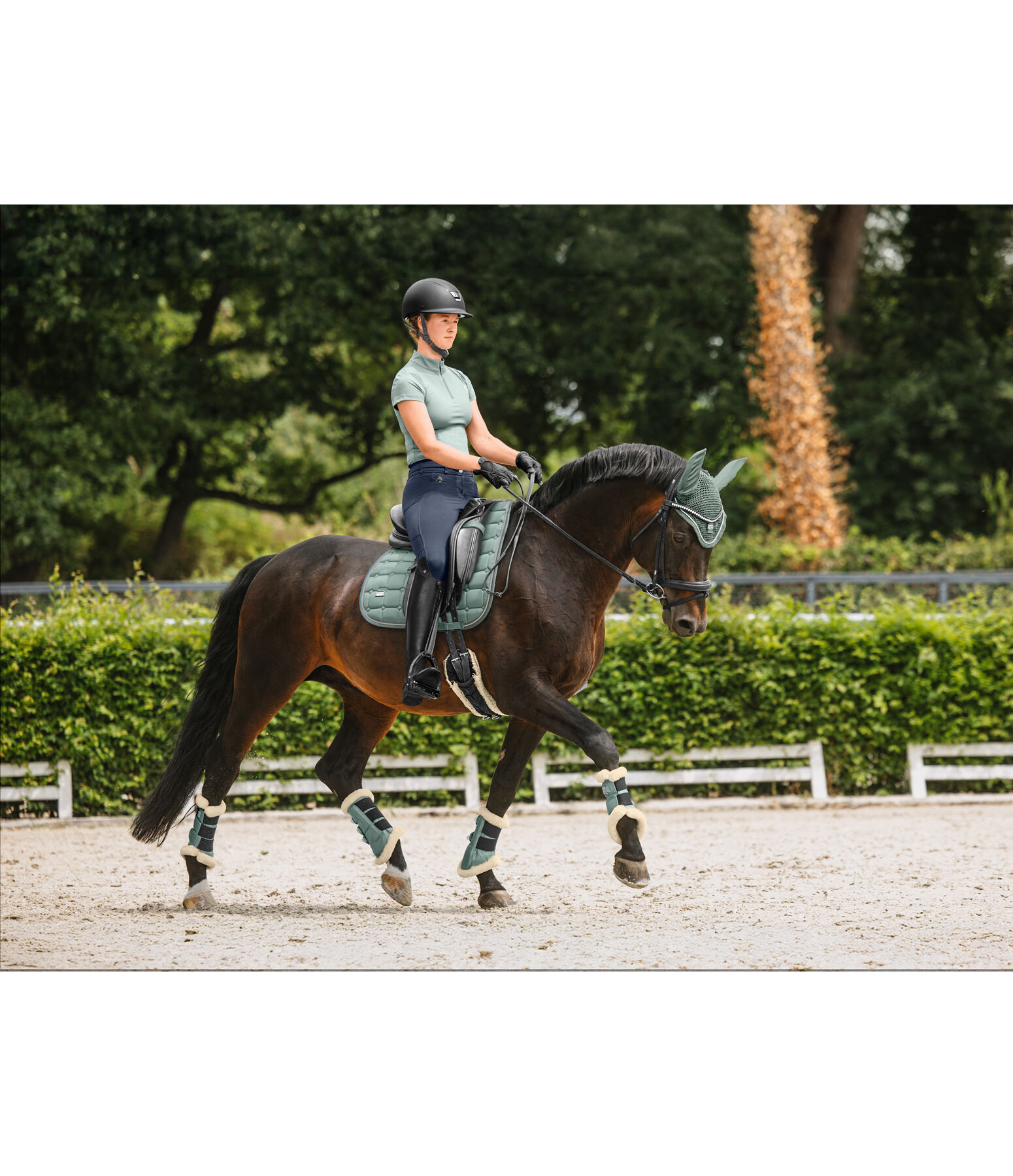 Gu�tres de dressage en polaire Teddy  Essential (post�rieurs)