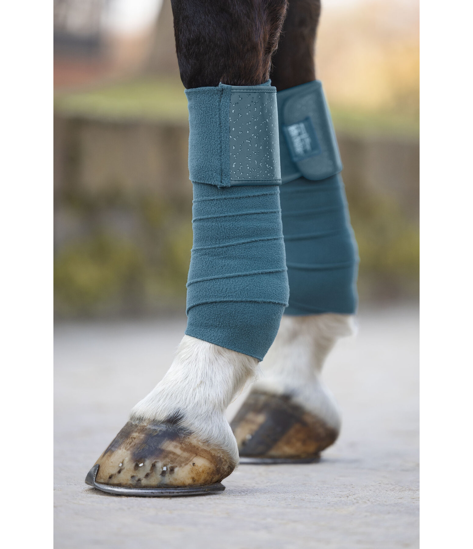 Bandes en polaire  Sparkling II