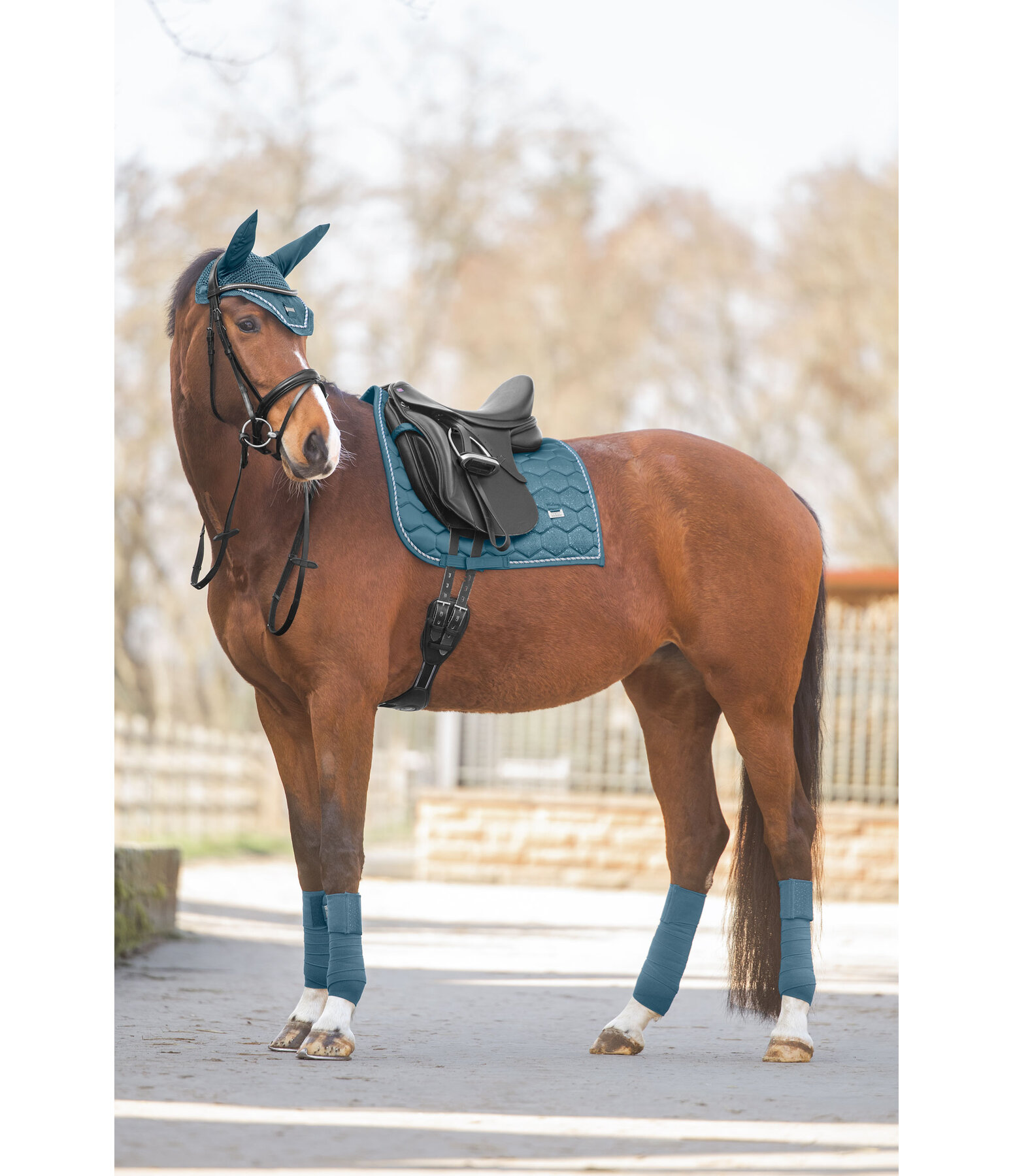Bandes en polaire  Sparkling II