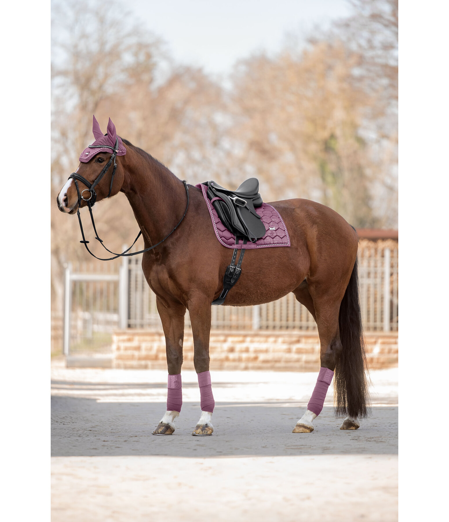 Bandes en polaire  Sparkling II