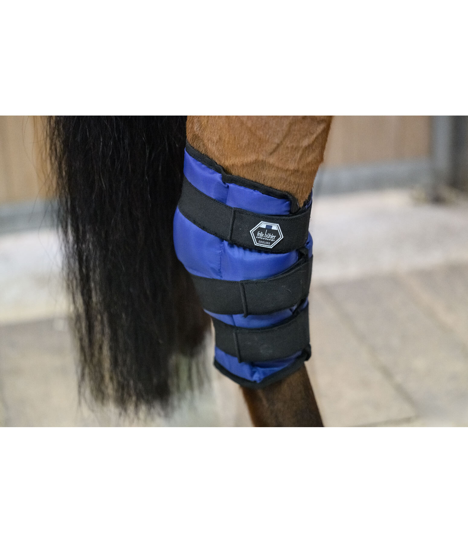 Gutre pour jarret  Ice Boots