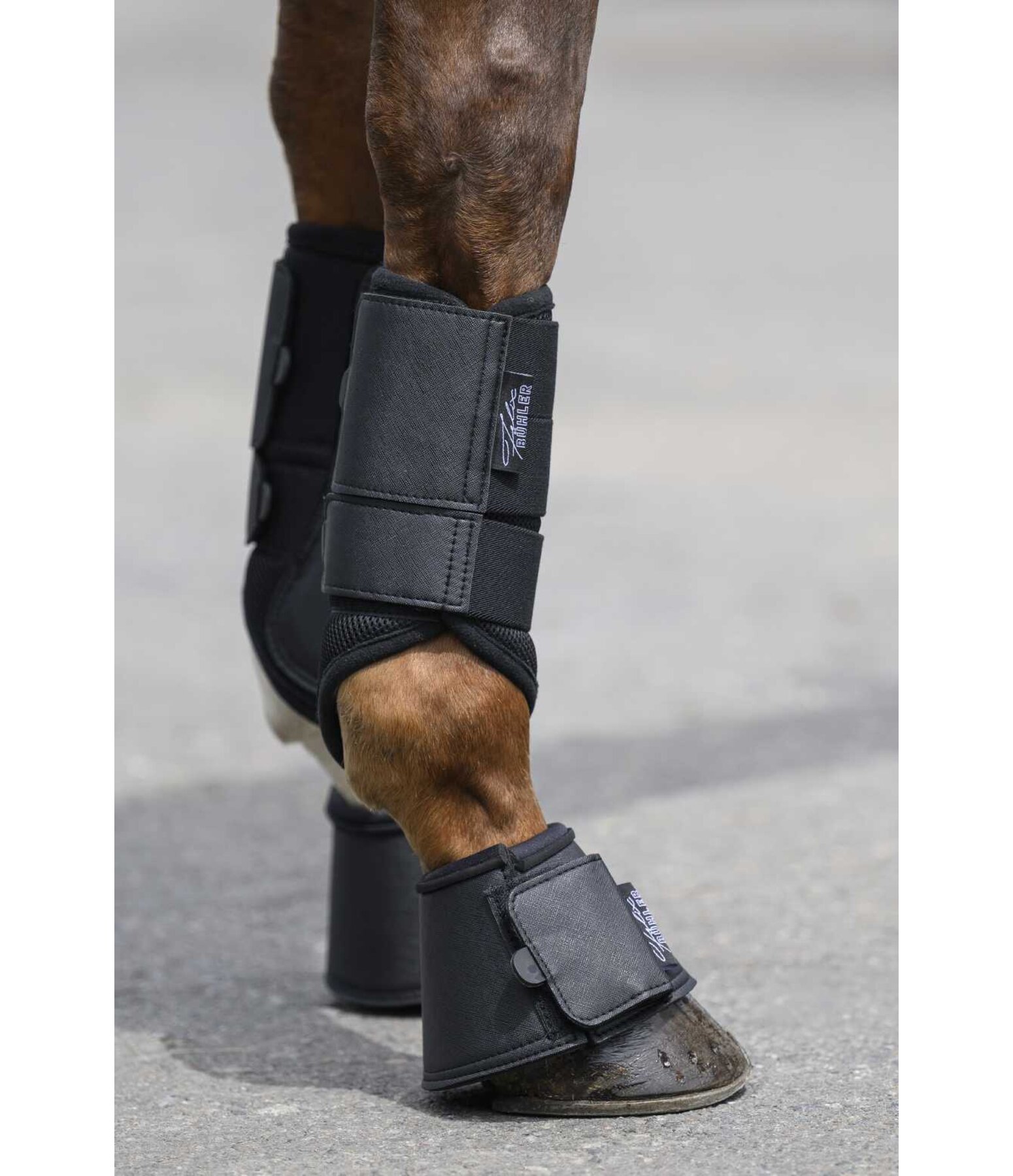 Gu�tres  Active, pour ant�rieurs