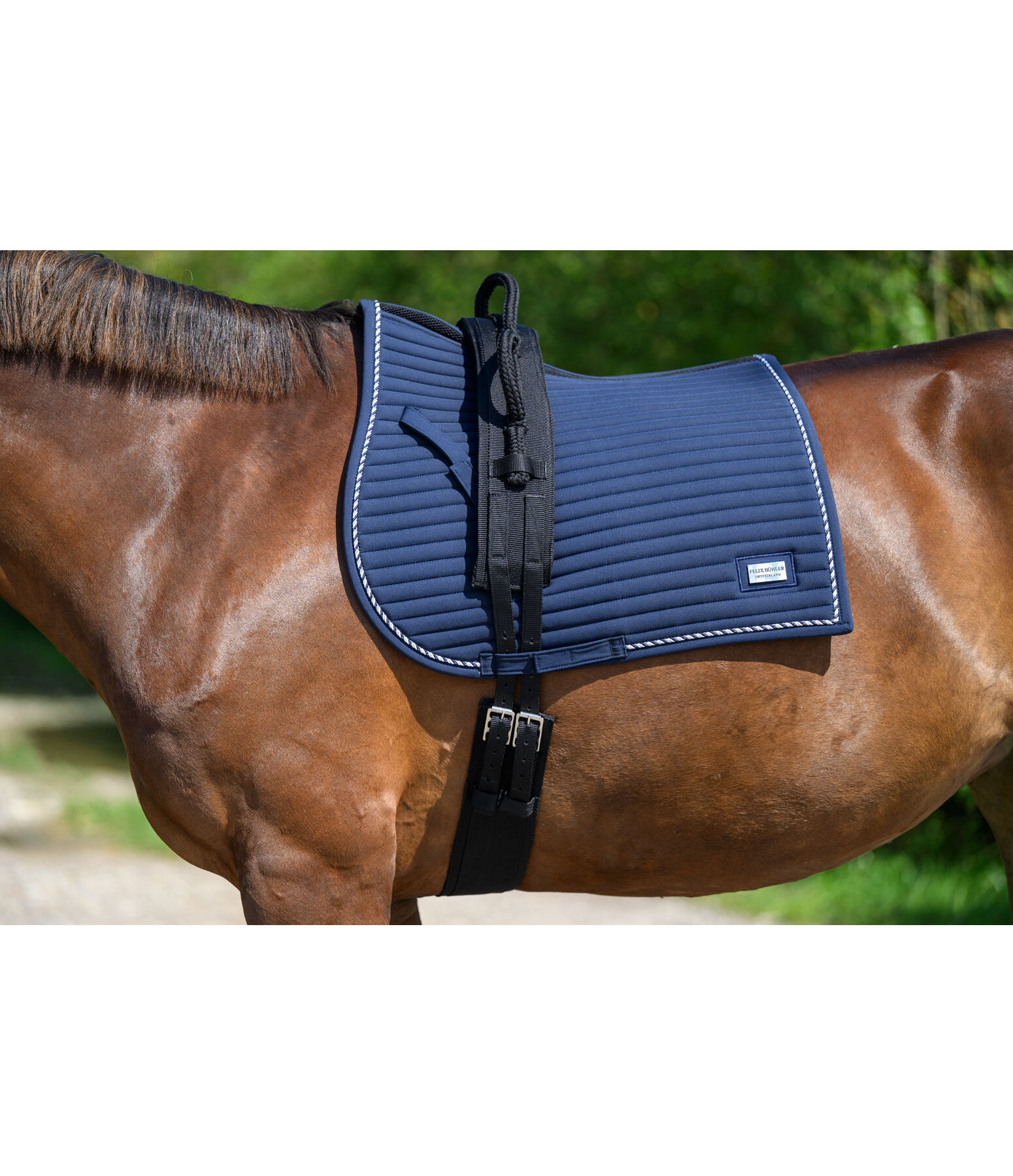 Surfaix avec poign�es