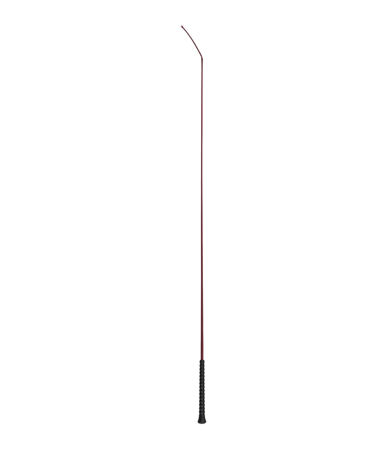 Cravache de dressage  Ergo