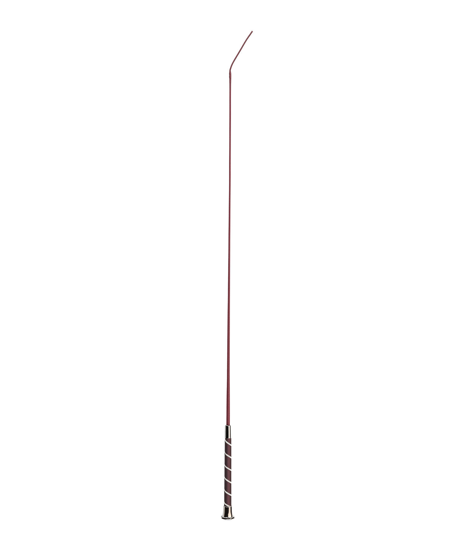 Cravache de dressage  Chain