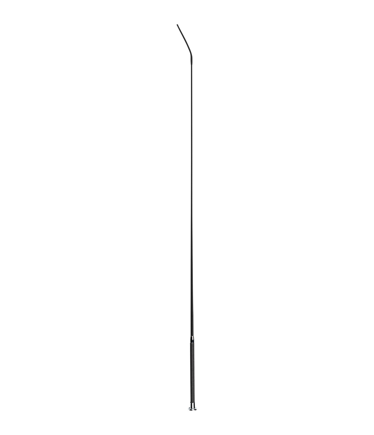 Cravache de dressage  Sparkle
