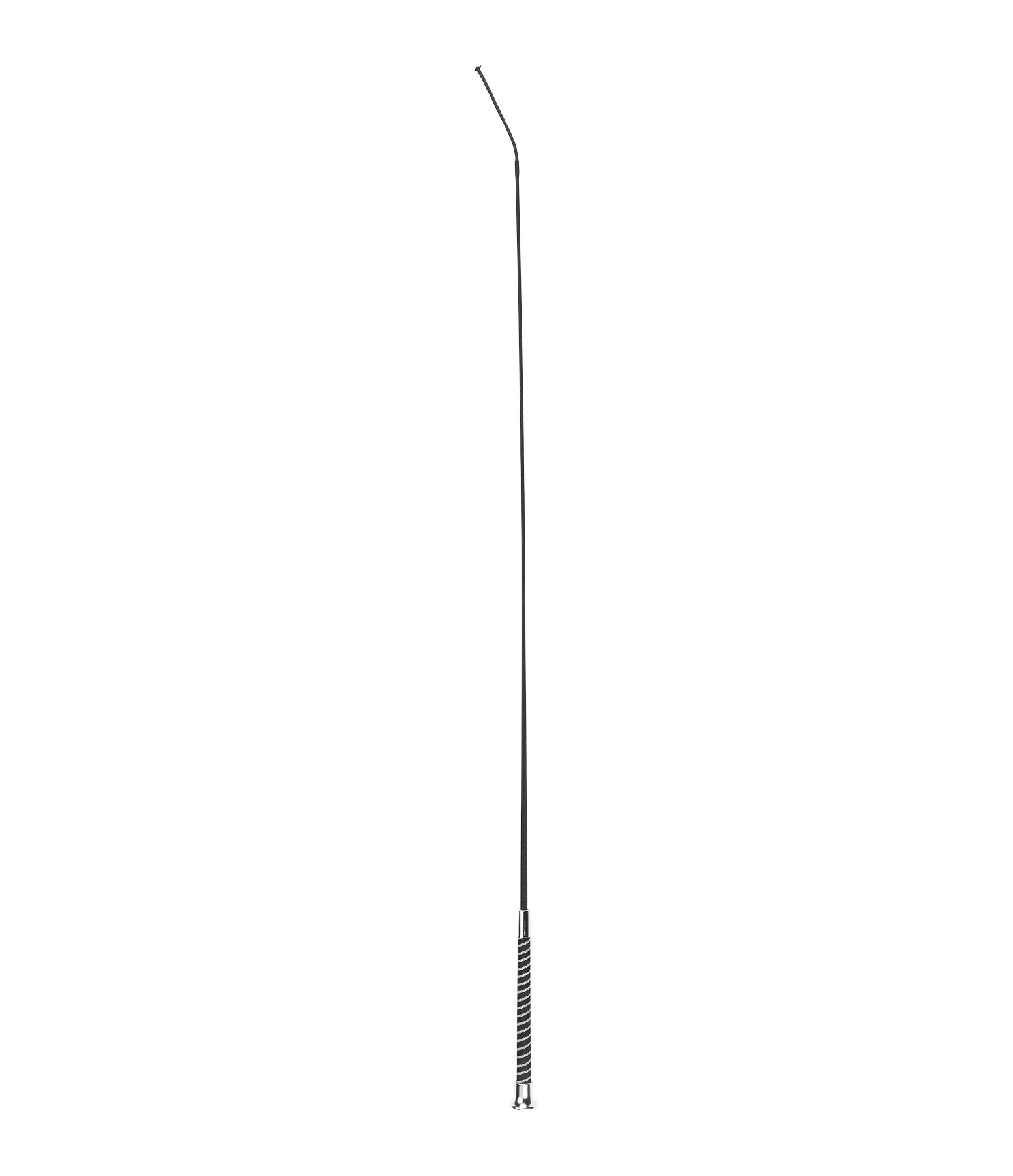Cravache de dressage  Line Grip