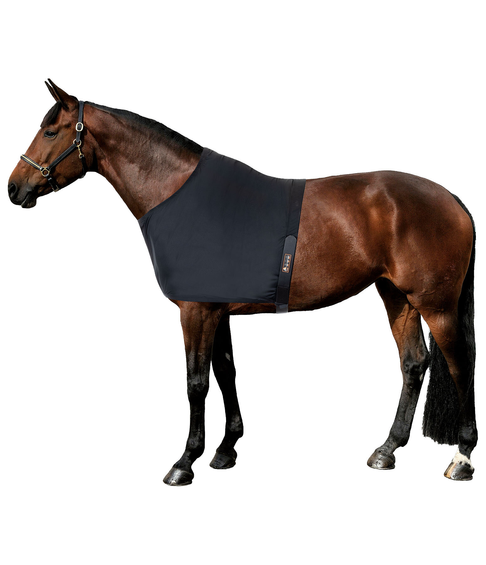 Protection d'paules pour chevaux  Ceramic Rehab