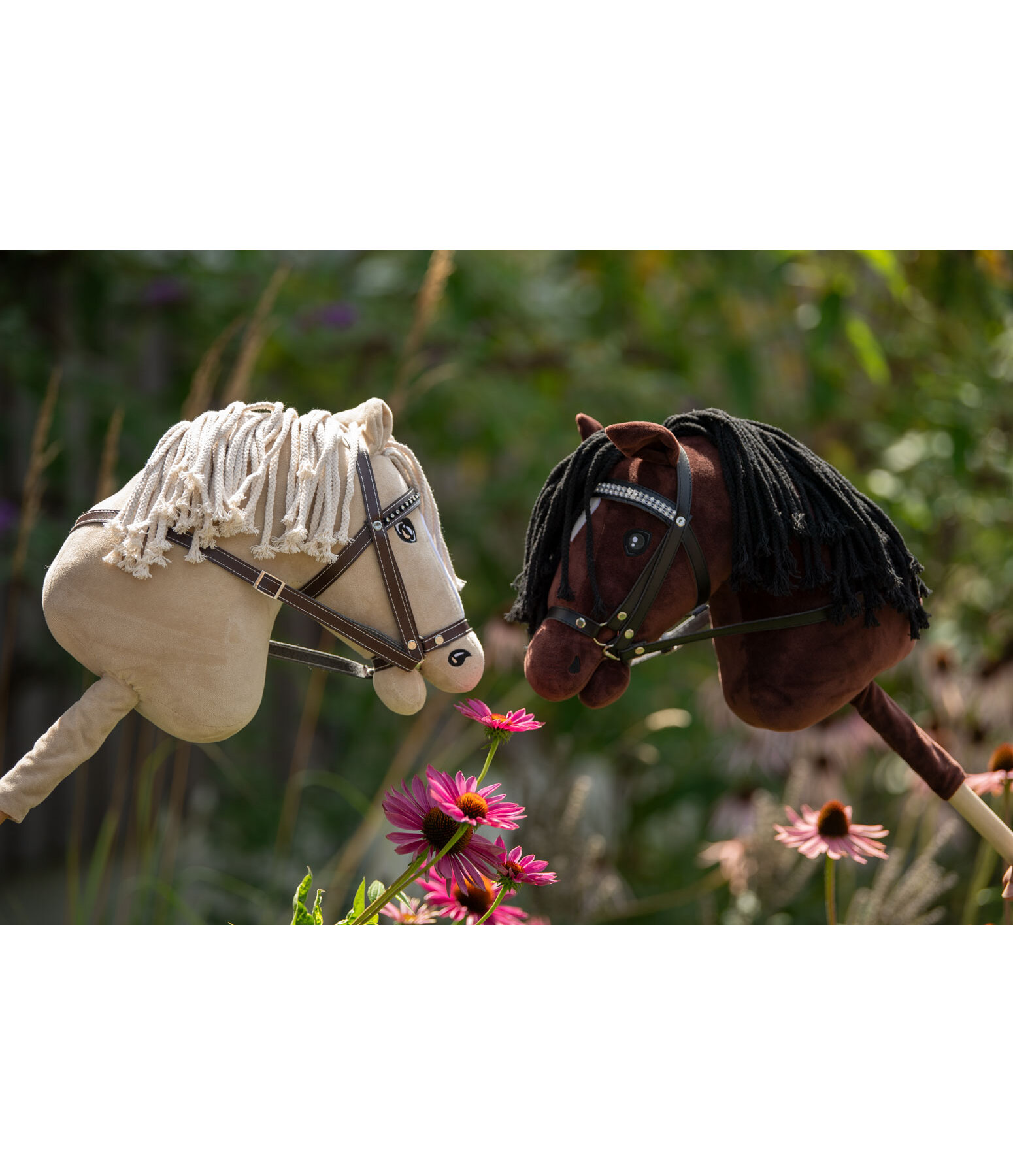 Cheval  Hobby Jumper