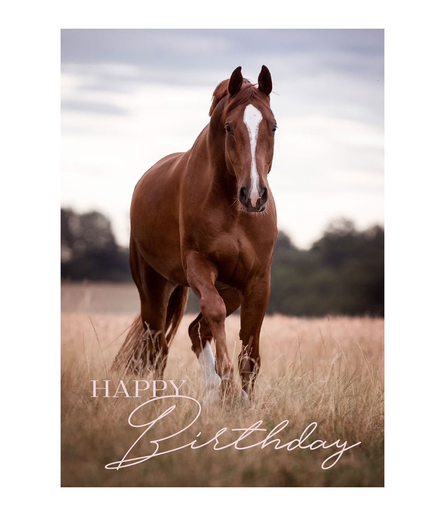 Carte de voeux  Happy Birthday IV