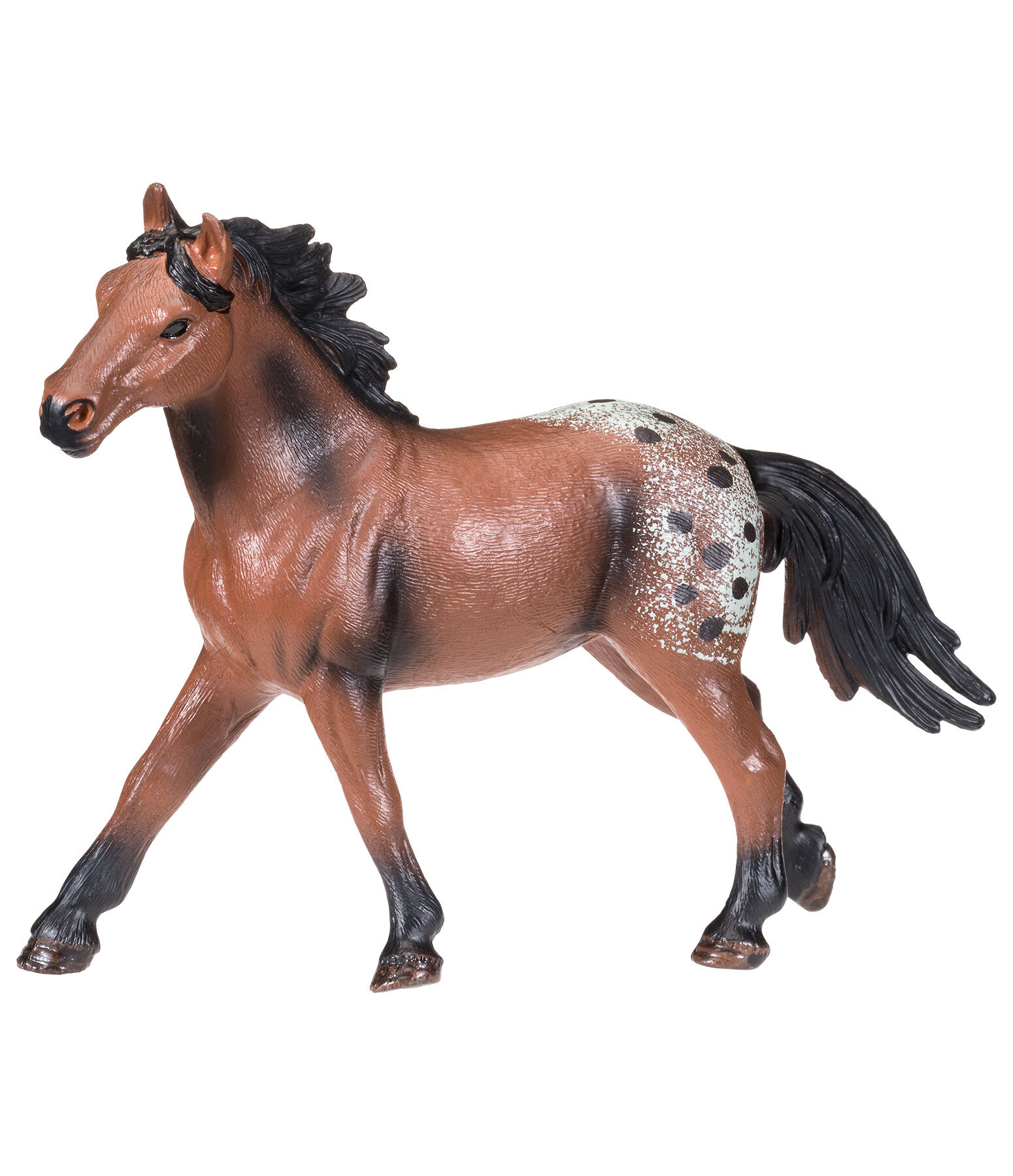 Appaloosa  Play series