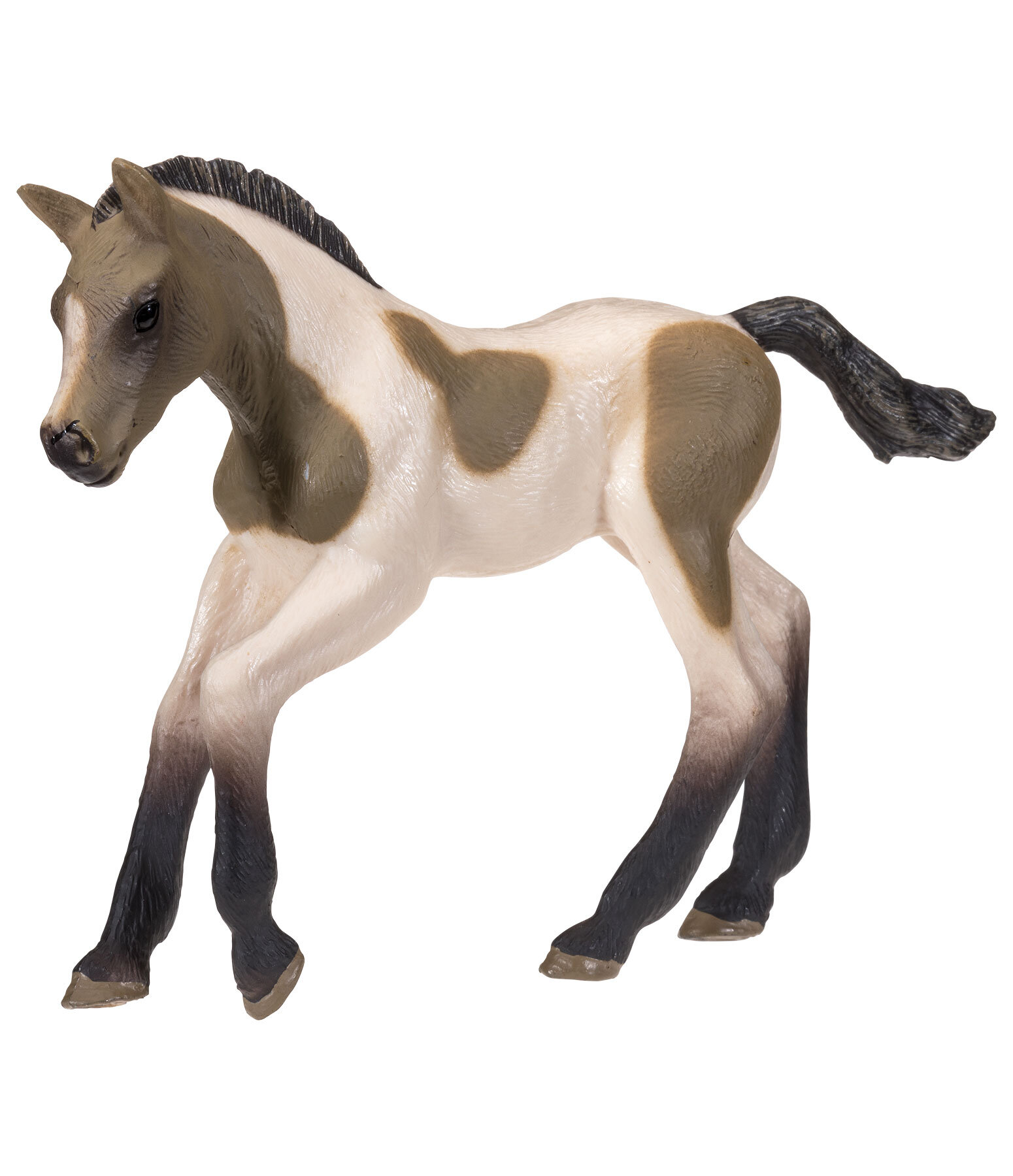 Poulain pie palomino  Play series