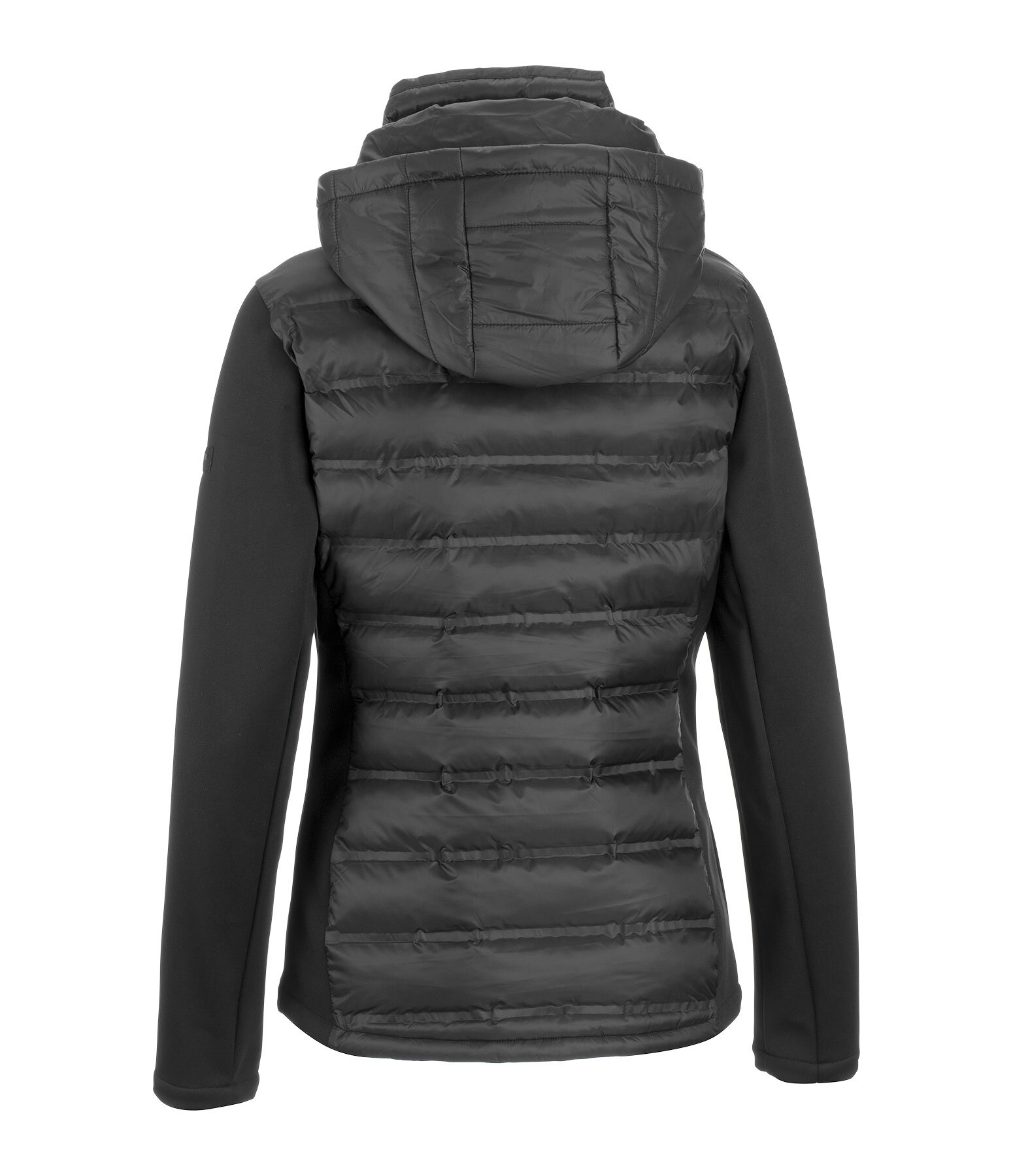 Veste d'quitation softshell bi-matire  capuche  Celina