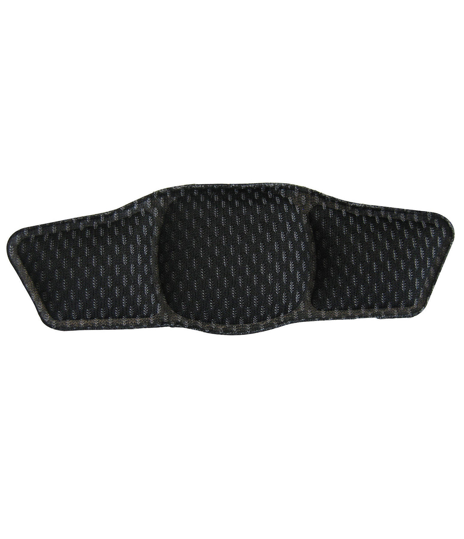 Rembourrage arrire  exxential II