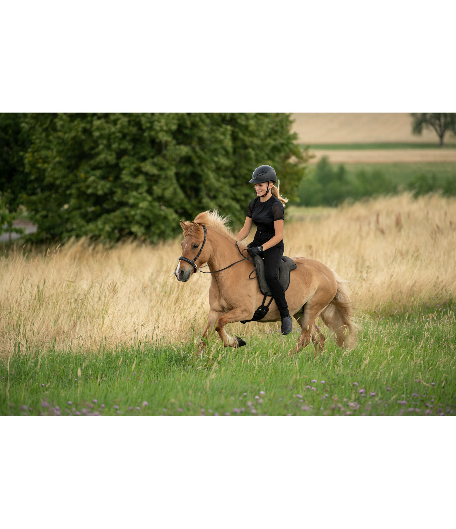 Casque d'quitation  Contest II