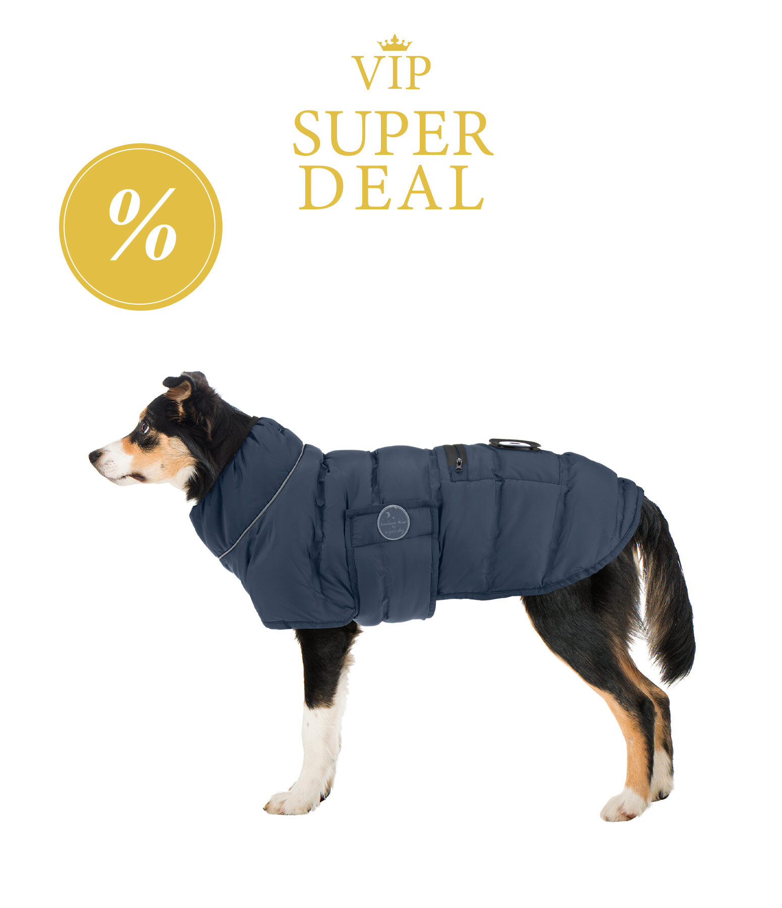 Manteau pour chien matelass� avec LED sugar dog Arlo, 300 g