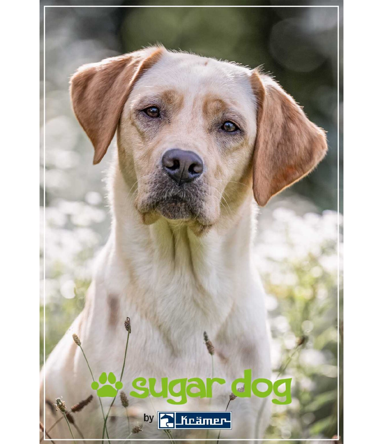 Bon cadeau  imprimer