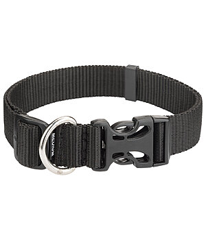 sugar dog Collier pour chien  Champ - 231184-S-S