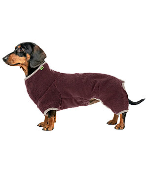 sugar dog Peignoir pour teckel  Theo - 231313-S-MA