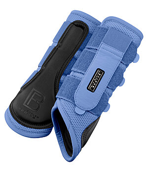 Felix B�hler Gu�tres techniques  Mesh-Technology (post�rieurs) - 290029-F-IZ