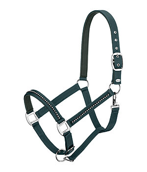 SHOWMASTER Licol  Brilliant - 310031-F-TG