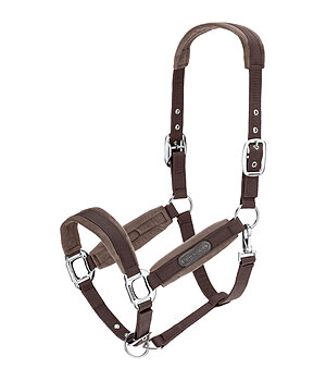 Felix B�hler Licol  Velvet - 310079-C-ZT
