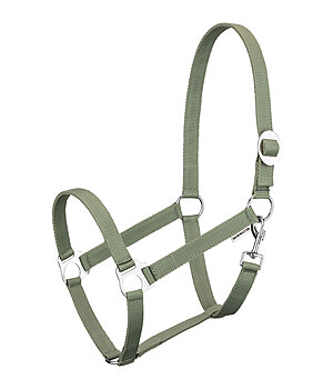 SHOWMASTER Licol en nylon  prix cass - 320018-P-AL