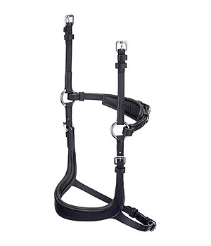 CLARIDGE HOUSE Muserolle en cuir  Mix & Match Revolution - 320849-C-SS