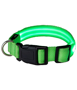 STEEDS Collier pour chien LED  Loom - 340991-S-G
