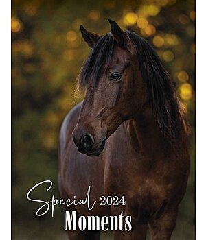 Ponyliebe Fotografie Special Moments Kalender 2025 - 402533