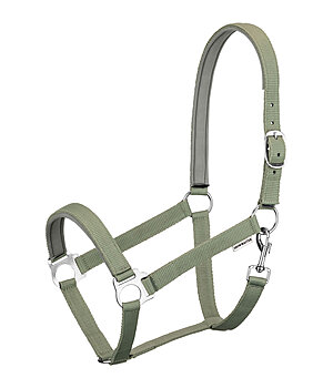 SHOWMASTER Licol en nylon  prix cass II - 440414-P-AL