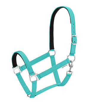 SHOWMASTER Licol en nylon  prix cass II - 440414-F-LG
