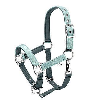 Felix B�hler Licol poulain et shetland  Twinkle - 440922-FO-DZ