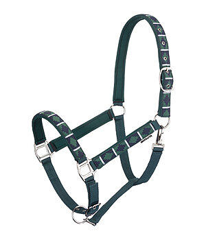SHOWMASTER Licol tricolore - 440929-F-TG
