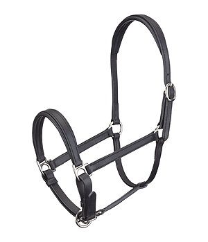 Felix Bhler Licol en cuir pour poulain et shetland SHOWMASTER Siri - 440944-SH-SS