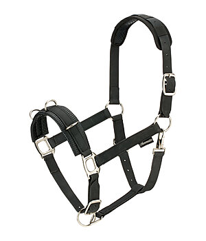 SHOWMASTER Licol de travail  Solid - 550007-F-S