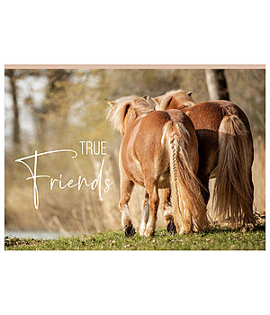 SHOWMASTER Carte  True Friends - 621811
