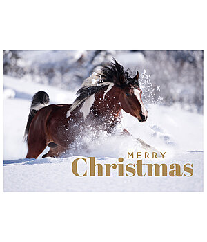 SHOWMASTER Carte de voeux  Merry Christmas - 621953