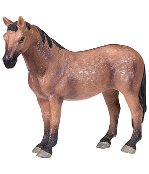 SHOWMASTER Trotteur bai  Play series - 622014