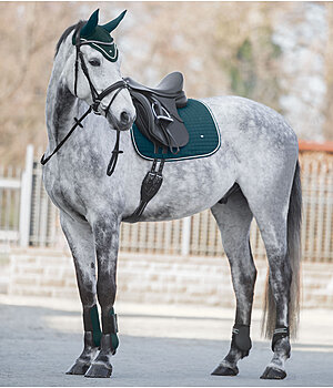 SHOWMASTER Ensemble Showmaster Basic en vert d'eau - 422489
