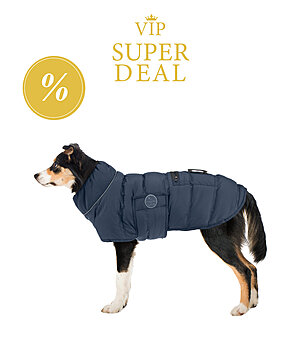 VIP Super Deal Manteau pour chien matelass� avec LED sugar dog Arlo, 300 g - V231203