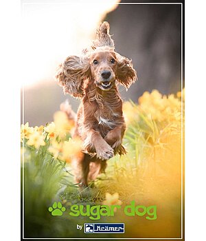 Kramer Bon cadeau  imprimer - GUTZA113-5W