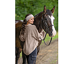 Bandeau technique  Trentino