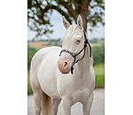 Licol � noeuds  Beaded