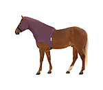 raisin II