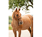 Licol �thologique  Bo