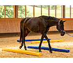 Couloir de double activation  2.0 �