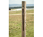 Fourche de martingale western  Basic