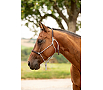 Licol �thologique  Cuero