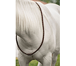 Collier en cuir  Premium